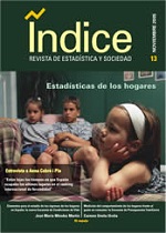 Número 13. Estadísticas de los hogares